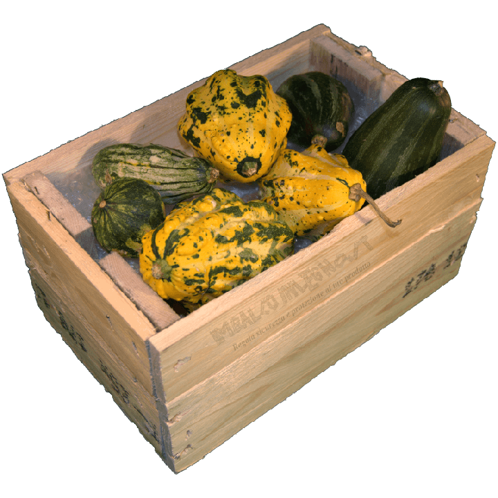 Cassa per regali - Laterale sinistro con frutta