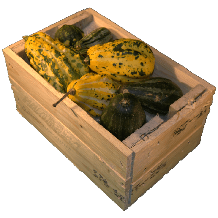 Cassa per regali - Laterale destro con frutta