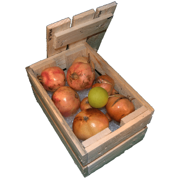 Cassa per fiori - Laterale destro con frutta